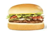Menu 13 whataburger-jr